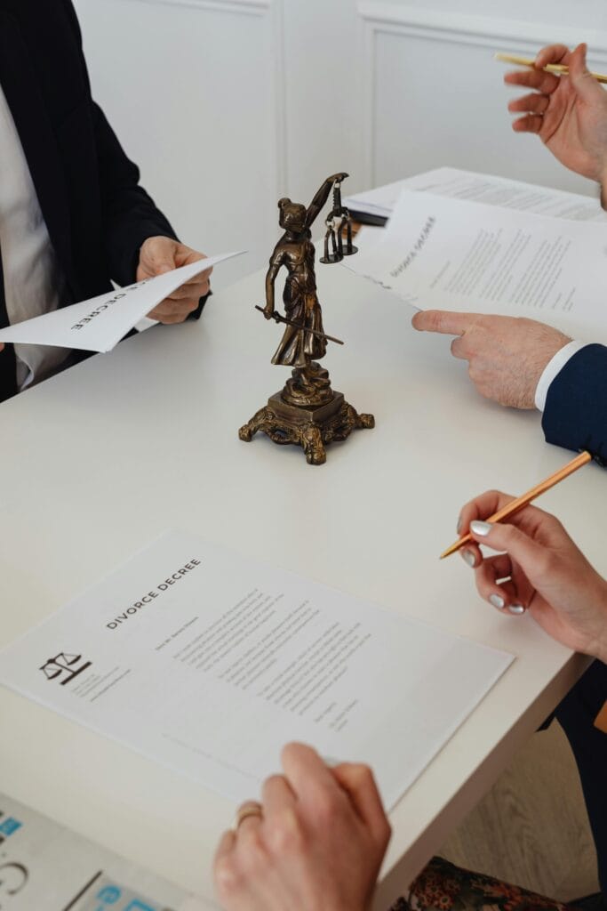 Litigation Disputs